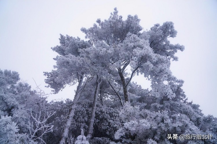 宜春行｜明月山冬日欢乐季滑最野的雪泡最爽的温泉